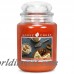 Goose Creek Candle Company Essential Series Carrot Cake Scent Jar Candle GCCC1019